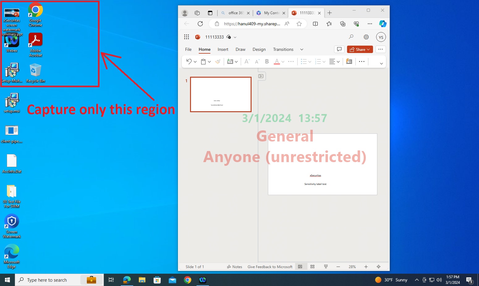 Captured image (invisible watermark included)